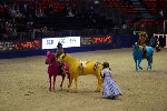 Quadrille - 00434